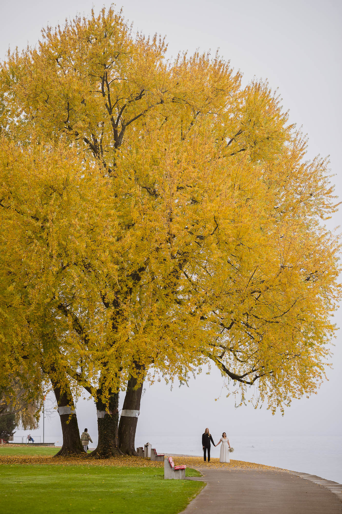 Export x3 1DX29320 Hochzeit 2020 Monika & Sharru 2